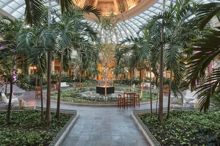 Iberostar Grand Paraiso